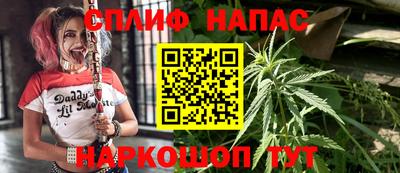 гидра Заволжье