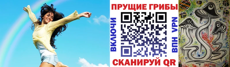 Галлюциногенные грибы Psilocybine cubensis Мелеуз