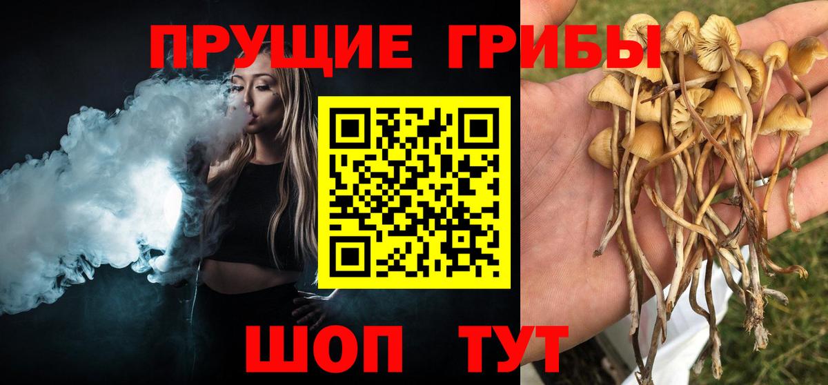 Мелеуз  Галлюциногенные грибы Magic Shrooms  Вход с VPN  Галлюциногенные грибы ЛСД 
